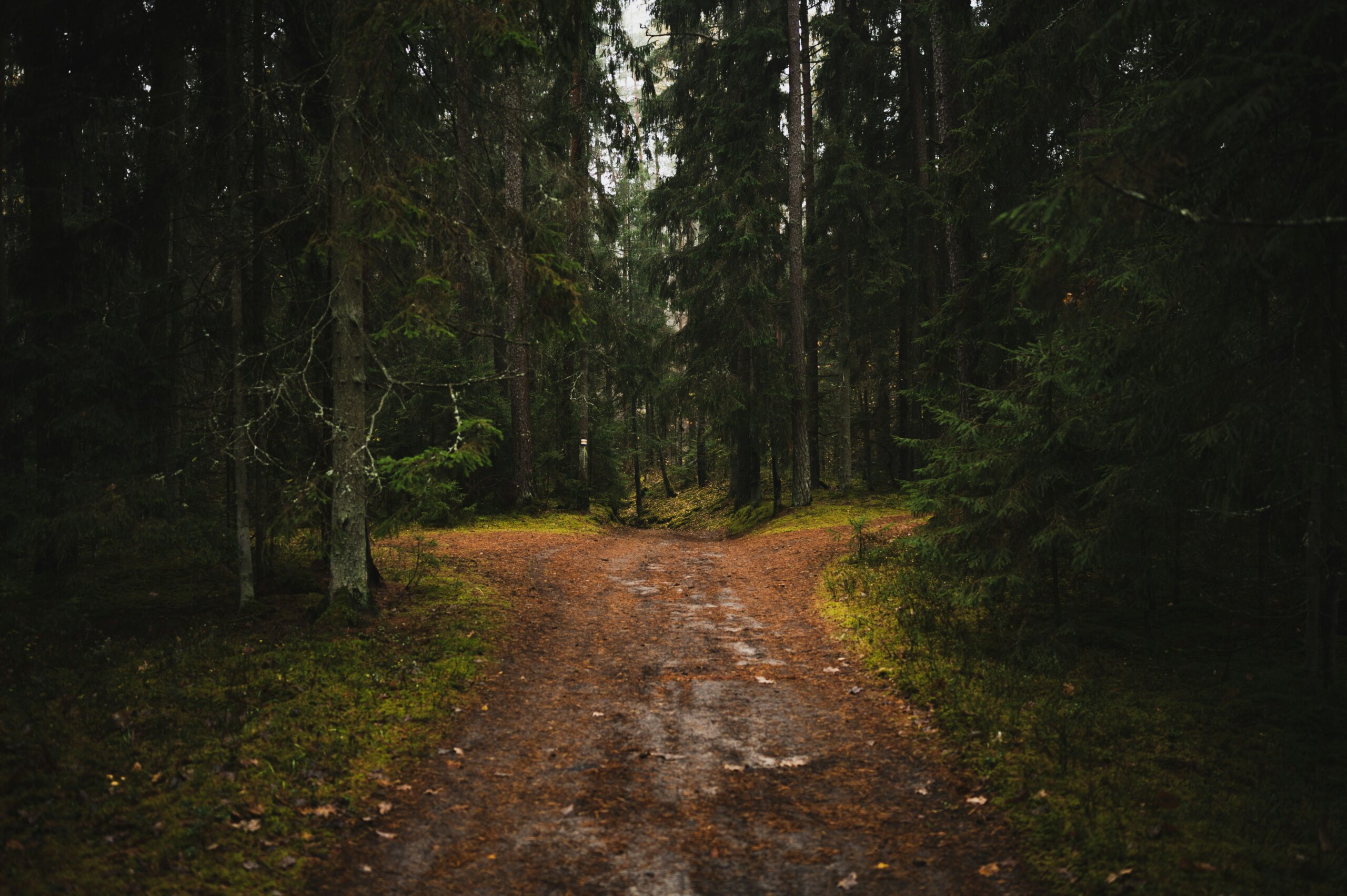 unsplash community rrJTSRQLo unsplash